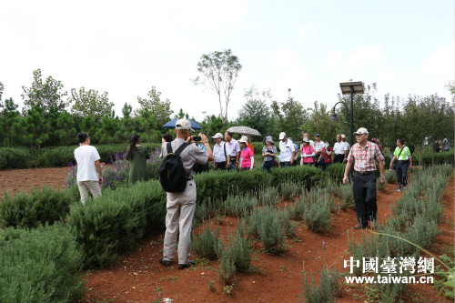 在石林台湾农民创业园参观 在石林台湾农民创业园参观