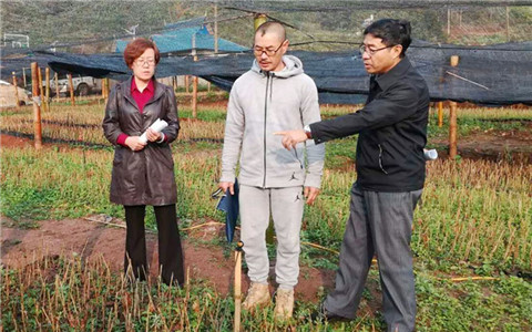 ����̨��Ѳ��Ա�������ʹ����鸰�ն�����˫���ɶԽ���̨������Ŀ