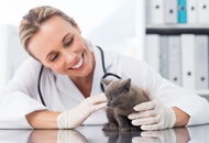 农业部向台湾居民开放全国执业兽医资格考试