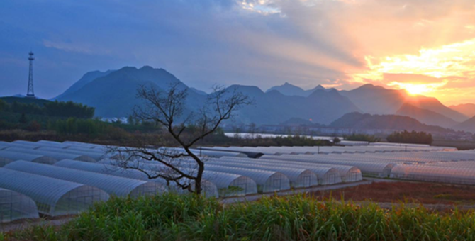 浙江台州仙居台湾农民创业园 浙江台州仙居台湾农民创业园