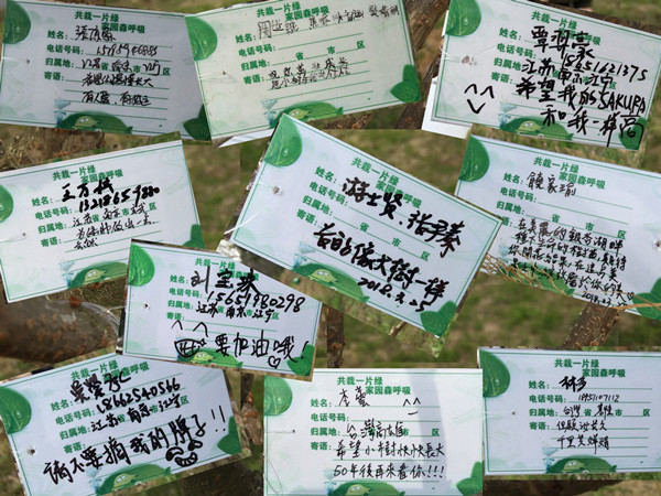 同学们在铭牌上留下姓名与心愿 同学们在铭牌上留下姓名与心愿