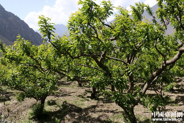 【十年】探访劫后重生的佳山村:脱贫致富,不忘