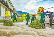 ũҵƴ�����䡱 ��ˮ��ɽ���ɽ��ɽ.jpg