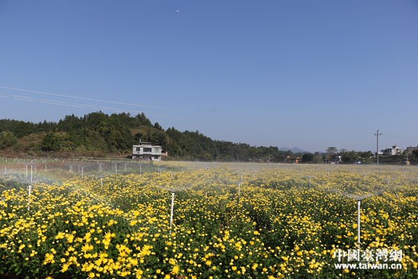 ƶܶƶڼſھҵй̨  㣩