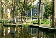 高雄“忘忧森林”成绝景?养工队:本来就禁止进入