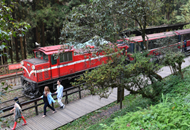 台湾上半年观光客少5.7%