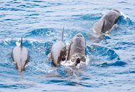 ½ο͸̨;3 ̨ҵ߽п