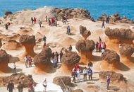 陆客大减 新北18家旅馆要卖