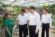 初心勾线,匠心施彩:习近平描绘幸福民生画卷