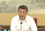 习近平同卡塔尔埃米尔塔米姆互致贺电 庆祝两国建交30周年