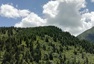 ƶжũĸ:""IP ʵִͬԣ