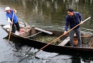 长江是我家—来自长江经济带基层的声音