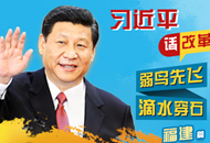 习近平话改革:弱鸟先飞 滴水穿石