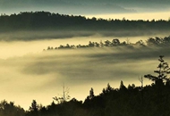 ̨����괺�������������ʵ�� �ڴ����෢չ����.jpg