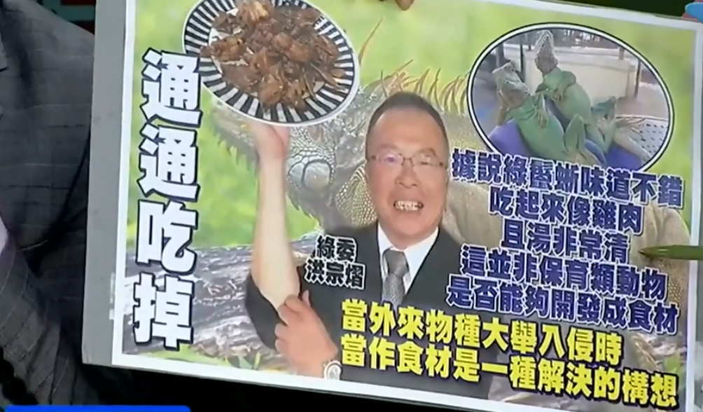 吃香蕉还要吃蜥蜴?除了“吃掉”蔡当局还有别的办法吗? 吃香蕉还要吃蜥蜴?除了“吃掉”蔡当局还有别的办法吗?