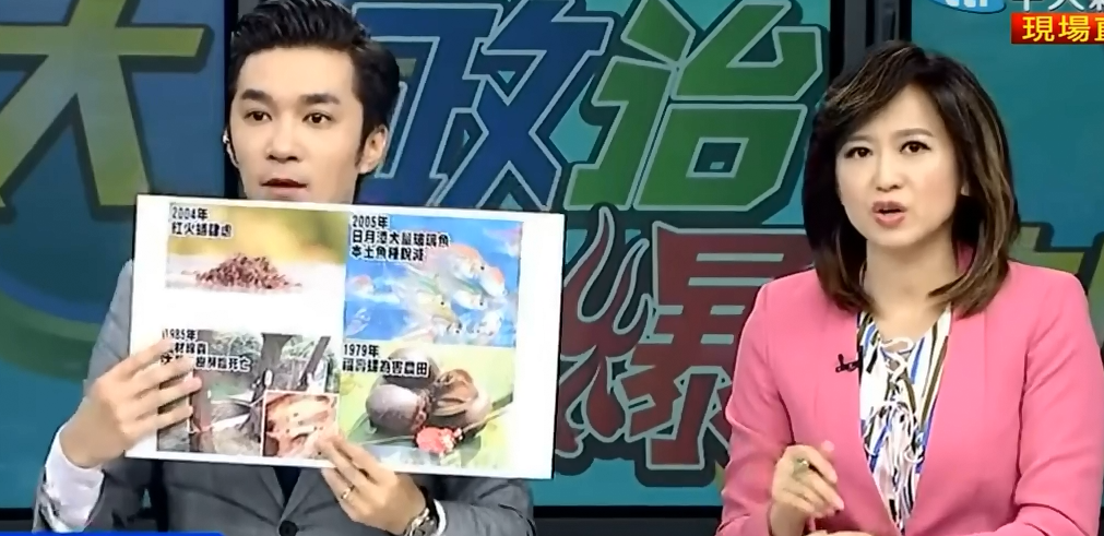 吃香蕉还要吃蜥蜴?除了“吃掉”蔡当局还有别的办法吗? 吃香蕉还要吃蜥蜴?除了“吃掉”蔡当局还有别的办法吗?