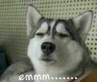 ̨˸½Խ𡱲 ӰӾ硰׹뷲䡱