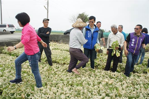 ̨��ũ��Ƶ�������²˼۱��� ���������ɫִ������ũ���ܺ���֤