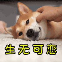 ��������������񹦡����й����� ������Ľ������ܡ����е���