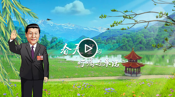 ����΢��Ƶ��������Ķ������ŵ