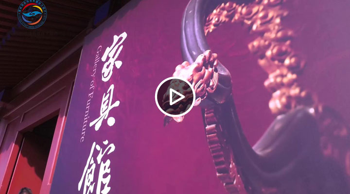 ����ý��ι۹ʹ��Ҿ�չ