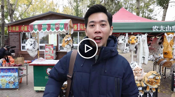 ̨����ý���˻�������Ʊ��Ƶ