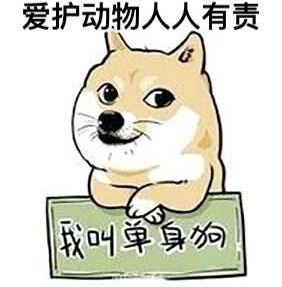 �����ݡ�������˹�ص�ҹ����ʷ��¼������ǰ �ھ��β���ңԶ