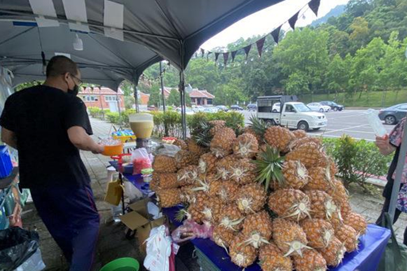 台湾菠萝等瓜果在旺季大批脱销，夷易近进党与大陆“经济脱钩”政策害惨果农