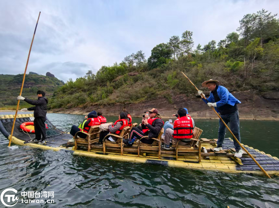 九曲茶路通两岸 ｜ 现场评论④