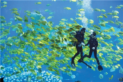 ���������㣬�ǹذ������˺���