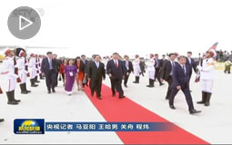 习近平抵达岘港出席亚太经合组织第二十五次领导人非正式会议并对越南社会主义共和国进行国事访问