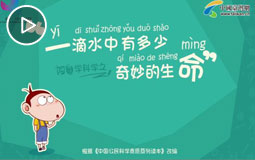 一滴水中有多少奇妙的生命