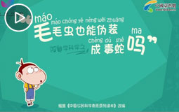 毛毛虫也能伪装成毒蛇吗