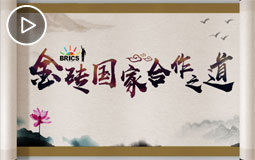 PC端视频图片模板--习近平纵论金砖国家合作之道.jpg