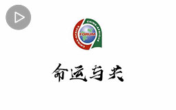 PC端视频图片模板.微视频--命运与共jpg.jpg