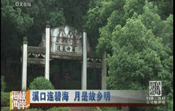 溪口连碧海 月是故乡明