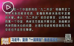 习近平:坚持“一国两制”推进祖国统一