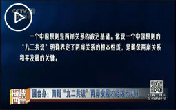 国台办:回到“九二共识”两岸发展才能拨云见日