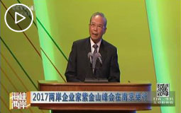 2017两岸企业家紫金山峰会在南京举行