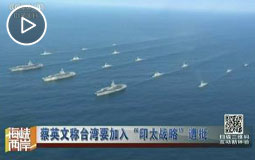 蔡英文称台湾要加入“印太战略”遭批