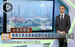 蔡英文民生政策摇摆引发各界批评