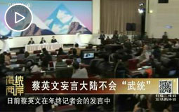 蔡英文妄言大陆不会“武统”