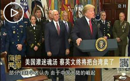 美国灌迷魂汤 蔡英文终将把台湾卖了