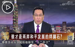 谁才是两岸和平发展的绊脚石