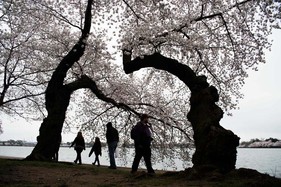 ȫ����ӭ��Ѥ��ӣ���� �����续