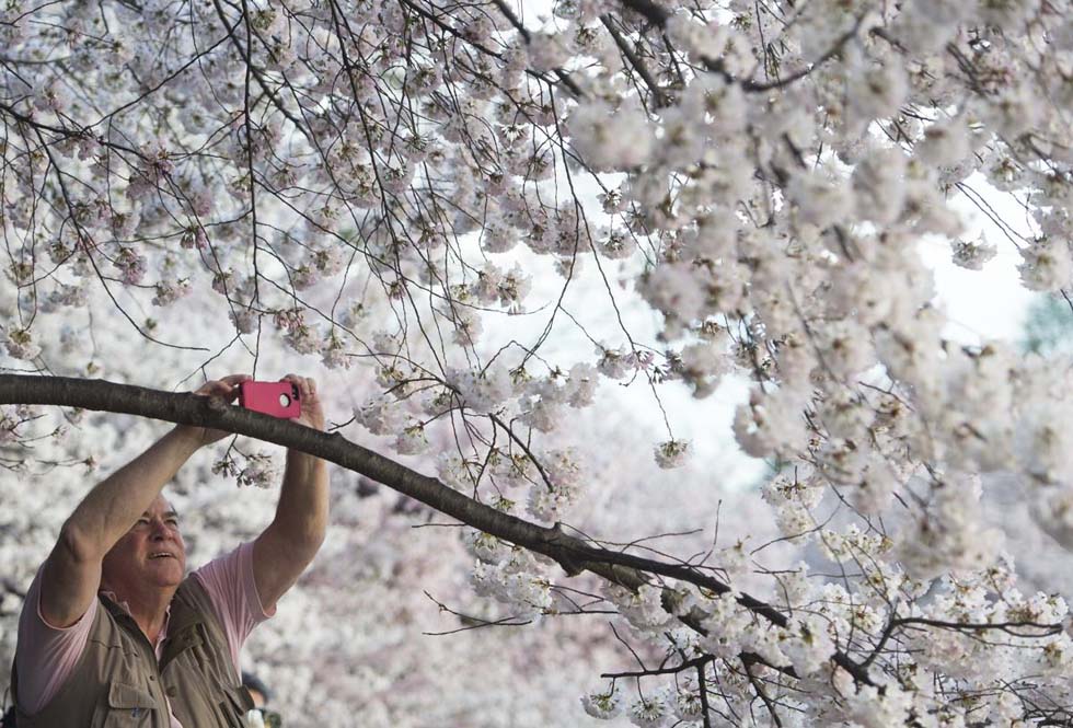 ȫ����ӭ��Ѥ��ӣ���� �����续