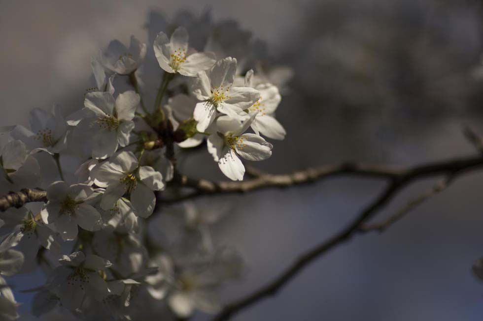 ȫ����ӭ��Ѥ��ӣ���� �����续