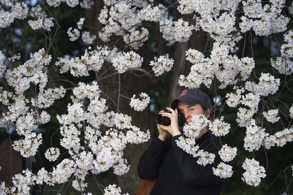 ȫ����ӭ��Ѥ��ӣ���� �����续