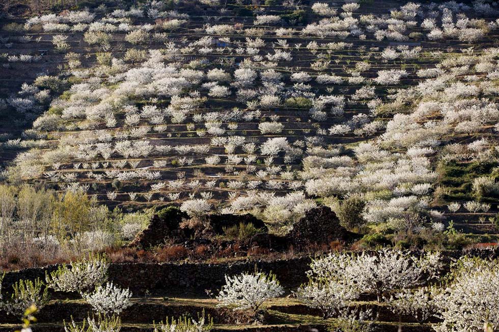 ȫ����ӭ��Ѥ��ӣ���� �����续