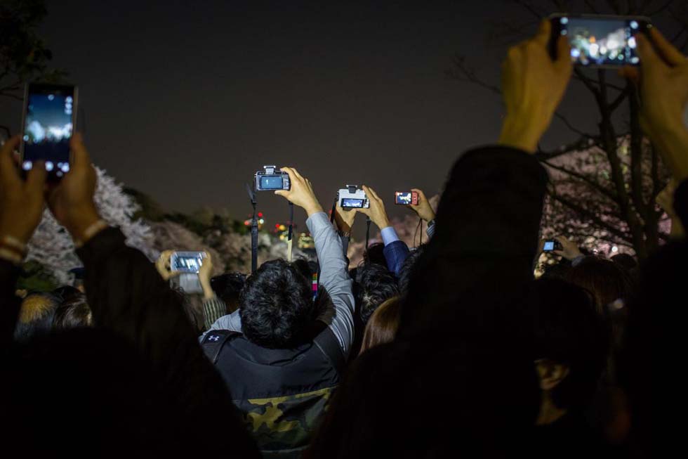 ȫ����ӭ��Ѥ��ӣ���� �����续